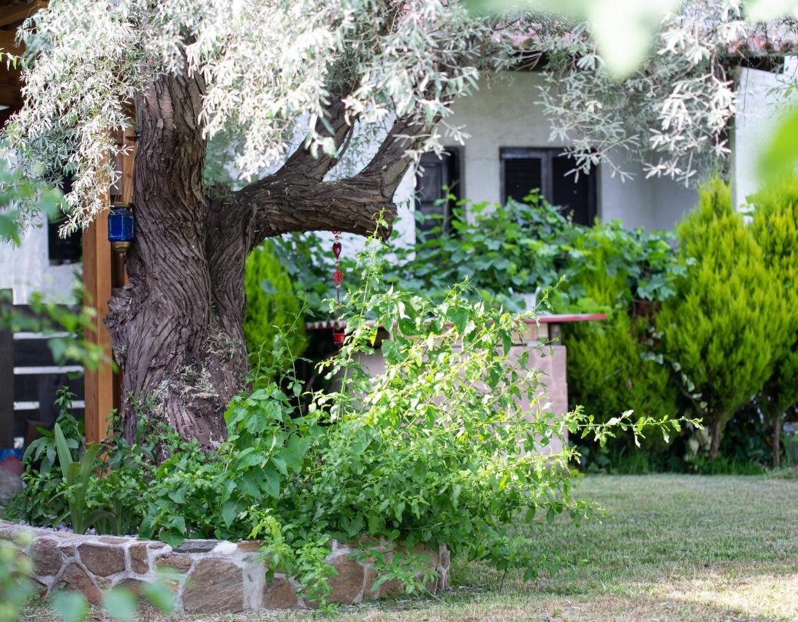 Paralia Sikias Villa Menie - Golden Fig Sykia Lodge מראה חיצוני תמונה